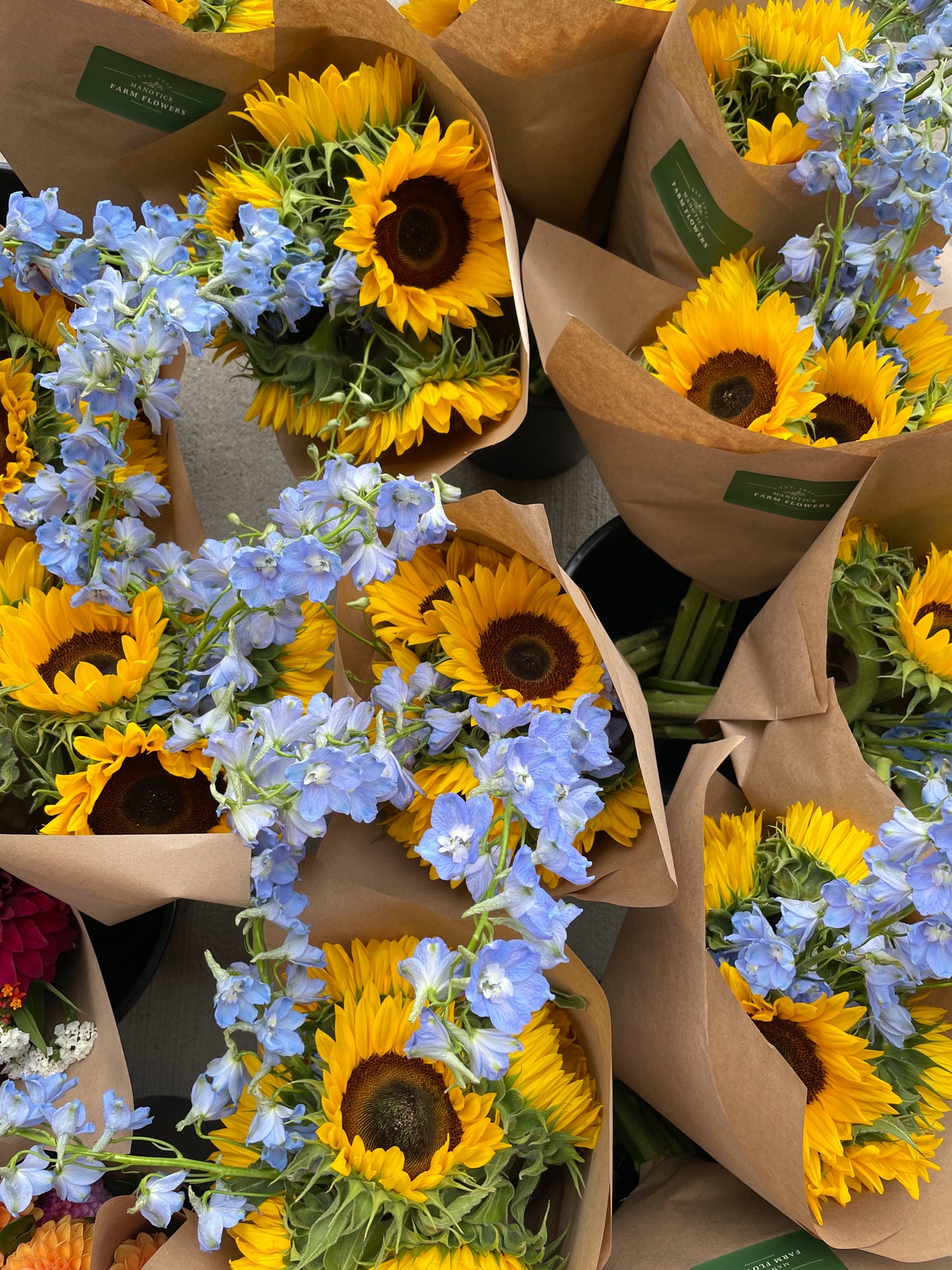 Locally Grown Farmers Market Bouquet