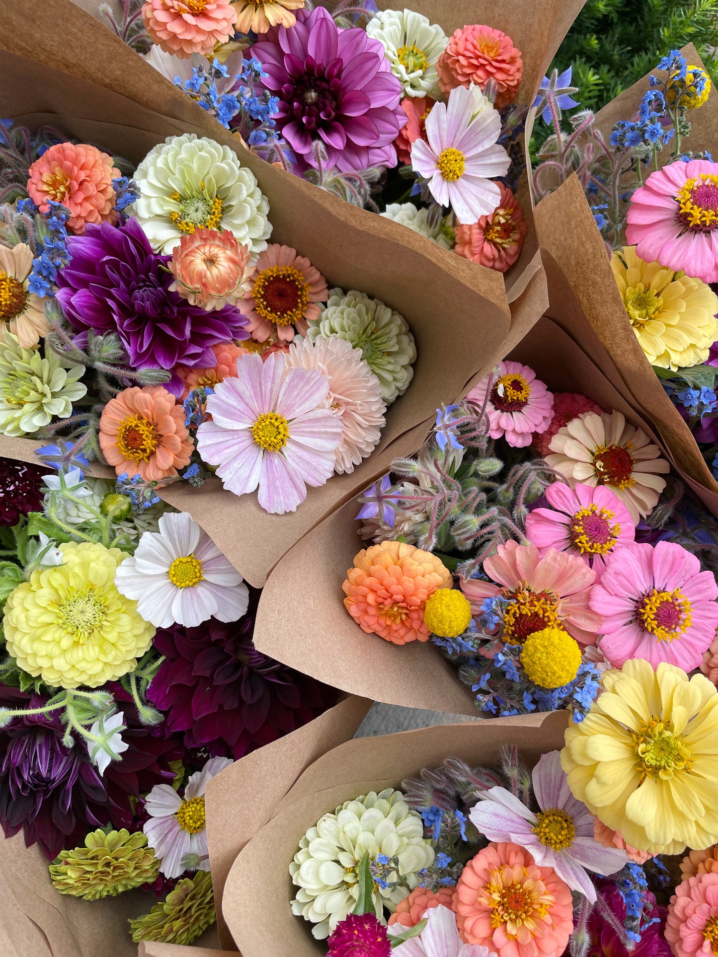 Locally Grown Farmers Market Bouquet