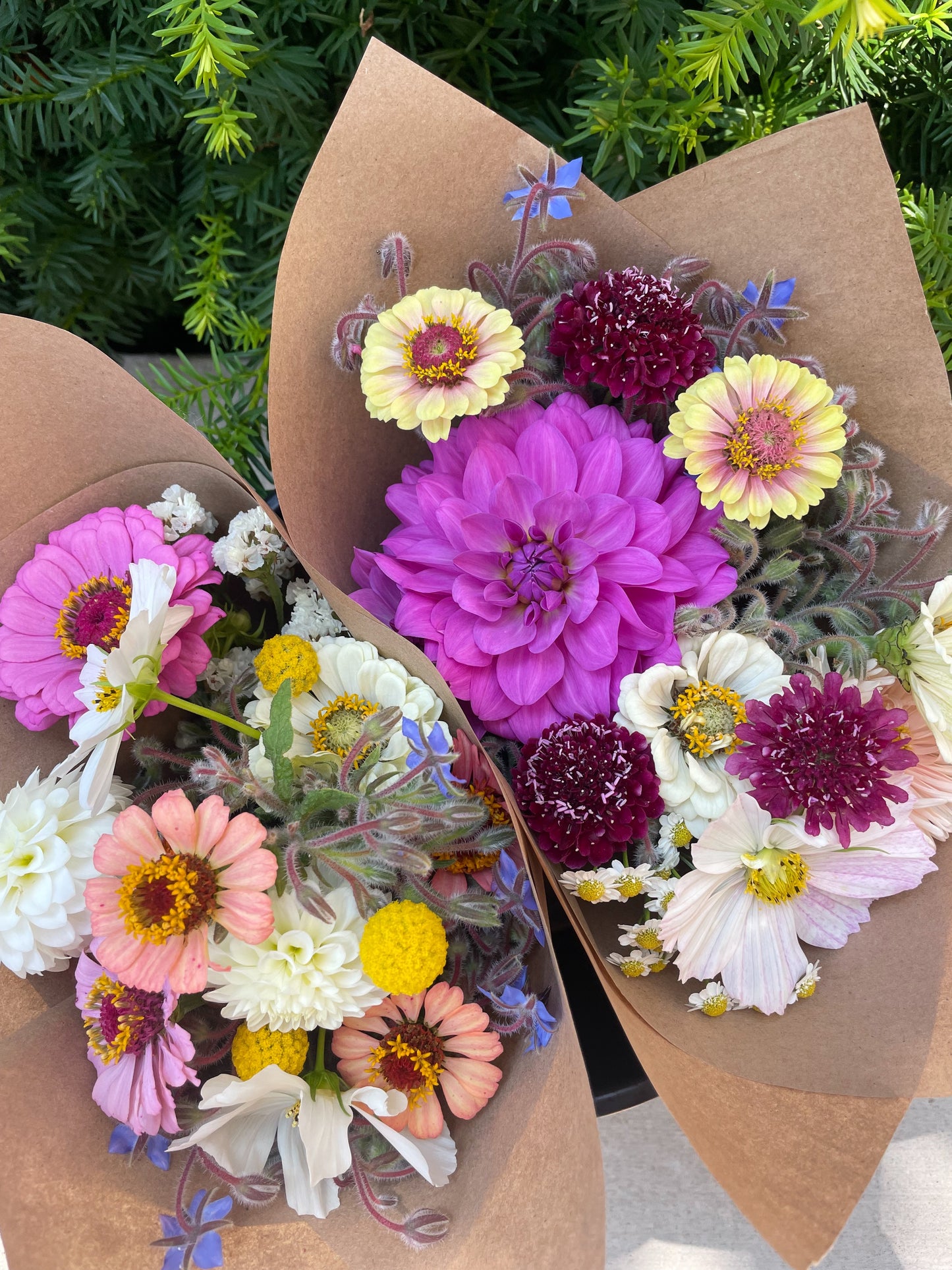 Locally Grown Farmers Market Bouquet