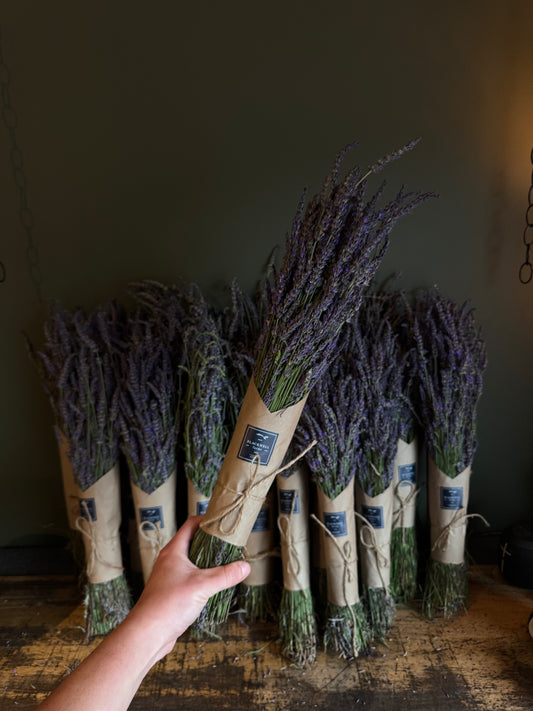 Farm Grown Lavender